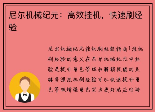尼尔机械纪元：高效挂机，快速刷经验