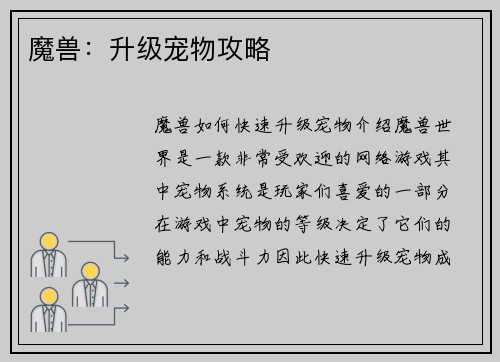 魔兽：升级宠物攻略